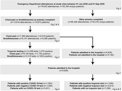 Changes in the investigation and management of suspected myocardial infarction and injury during COVID-19: a multi-centre study using routinely collected healthcare data